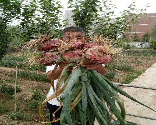 �����������ġ�����ũ����������