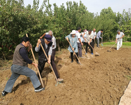 �����������ġ�����ũ����������